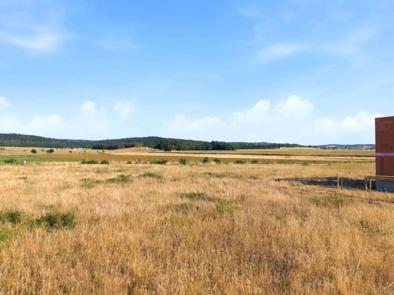 Gro�z�giges Baugrundst�ck mit eigener Zufahrt ? 1.175 m� und bis zu zwei Wohneinheiten /  / 2111&nbsp;Harmannsdorf / Bild 8